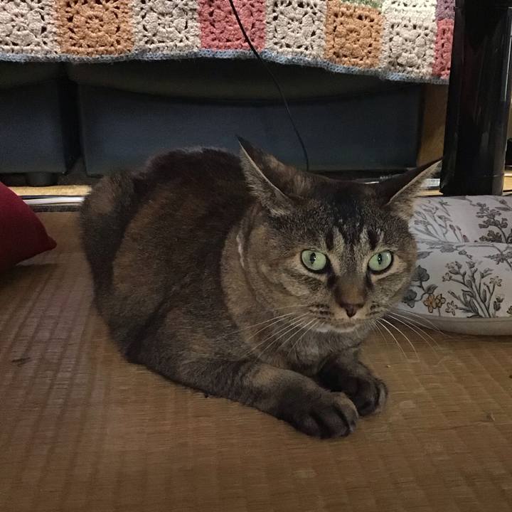 9b0150ad 7959 4822 a527 a11665467879 1724051011902