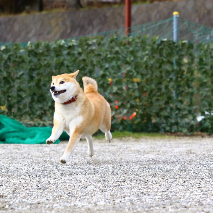 9b016a03 f1f1 4c86 8ea9 8b415a384459 1539605865068