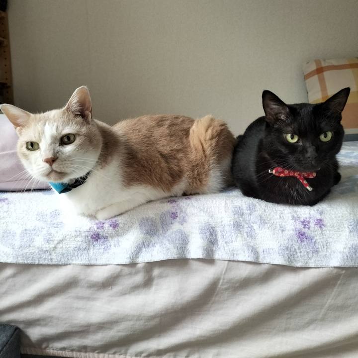 9b01ae05 d20e 42ff a2f1 dee97e7bb1dc 1663889206010