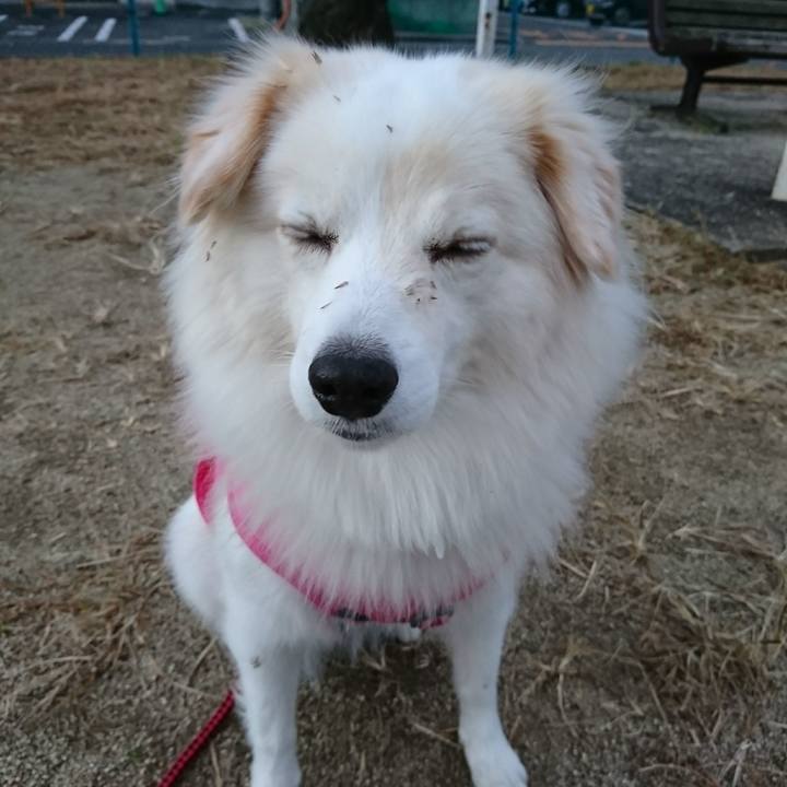 9b01b15b 7c44 49fc 970f fffbc9f44a20 1510781021910