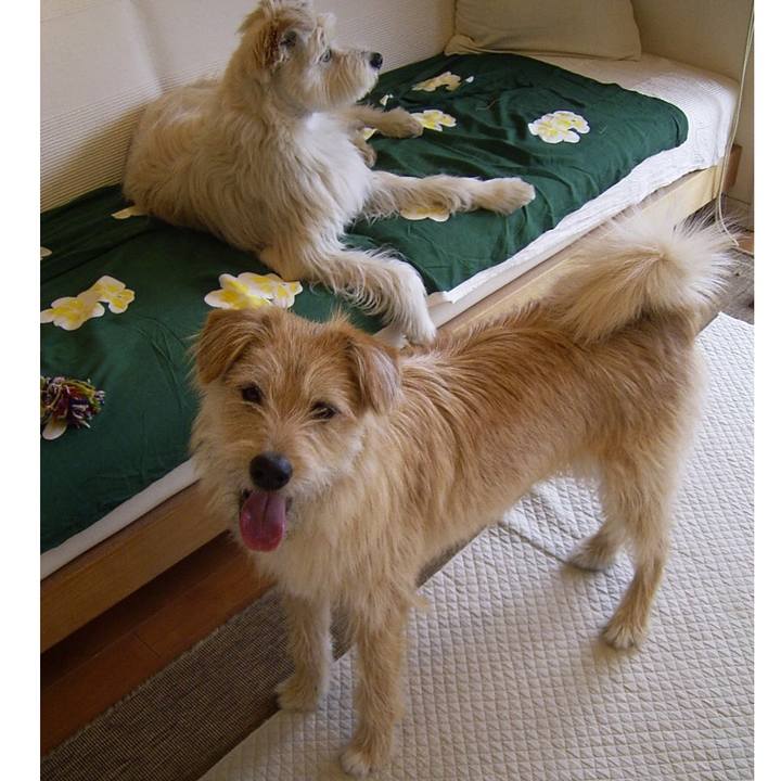 9b01c52a a336 47d9 95ca 4b6100ce767f 1555636937867