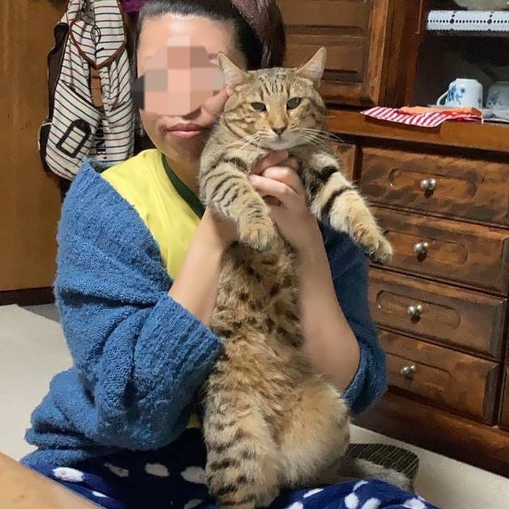 9b0215a9 1bfa 459d b7d9 6a82dc2cebef 1631520101883