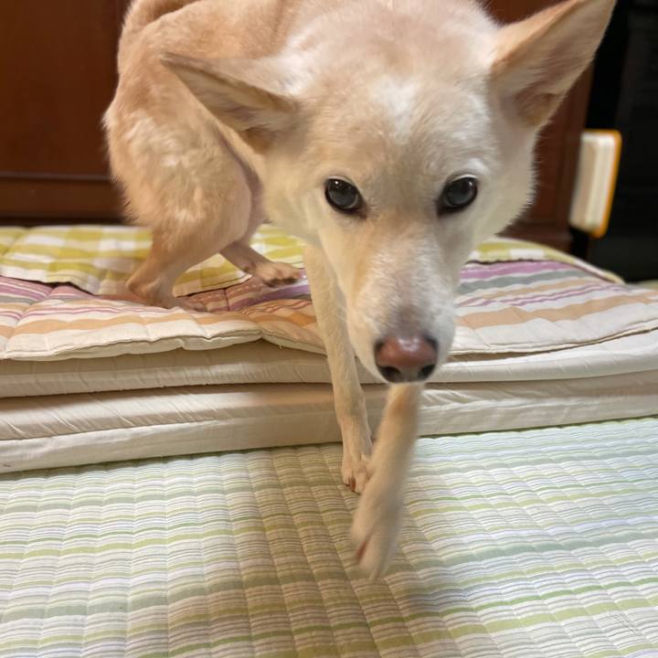 9b0225ff e5b4 4988 b7ef 35f81a790f04 1606216477819