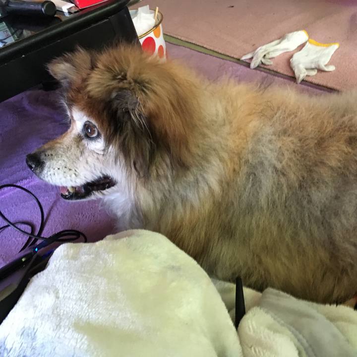 9b023119 f8c3 4478 a3cd 5127965e3b83 1559949546237