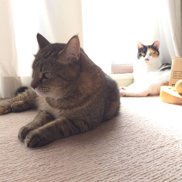 9b02459e f5ce 4e88 9b47 6017ef835118 1539298477906