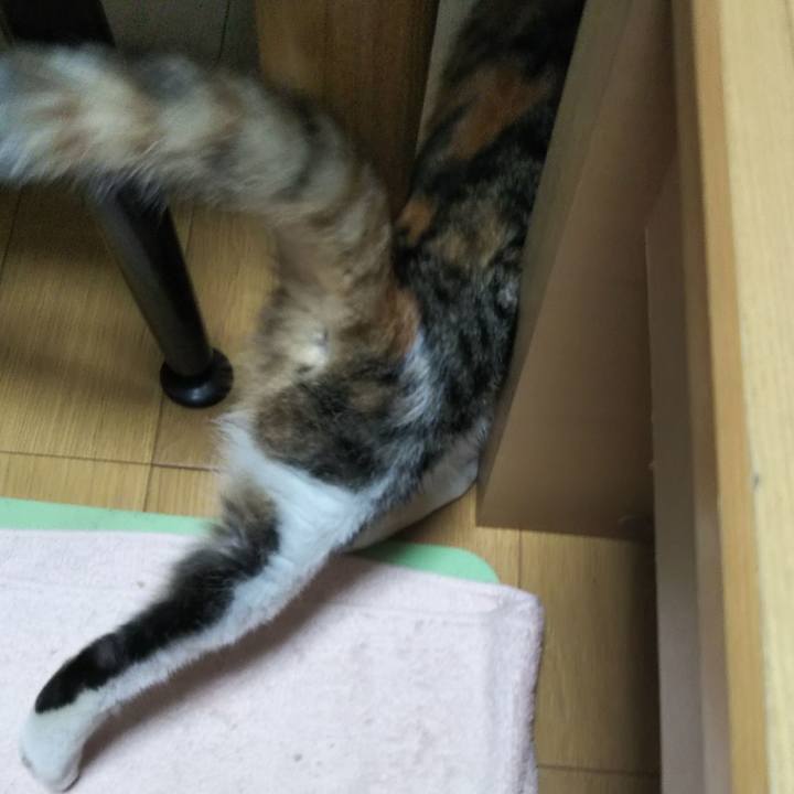 9b025443 690e 46aa ba2b ab6df635d335 1635806481268