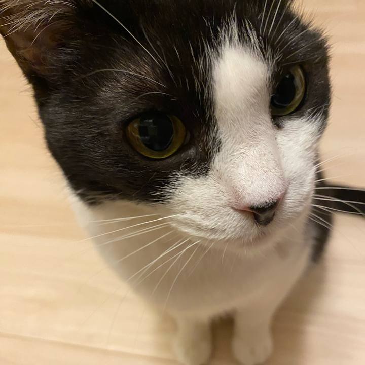 9b02d696 1090 4b38 a5b3 8d5bce3ab610 1766308856586