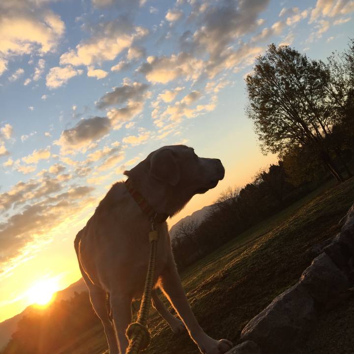 9b02fccb 6c33 42ff 8bd9 52b74a1e0aad 1619132372885