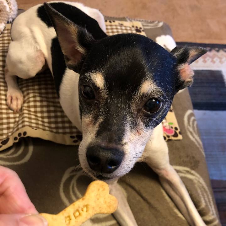 9b030c2c c10f 4bbd 8989 1c75905f7d2a 1552775151821