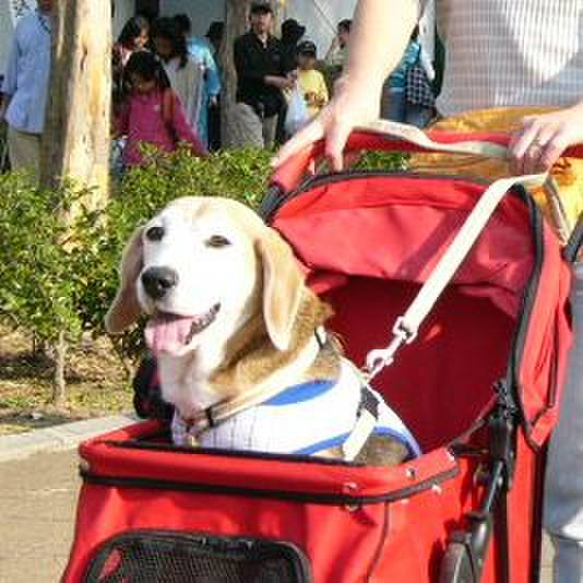 9b03206f 9491 4e95 84e2 bbb787672c12 1656459455219