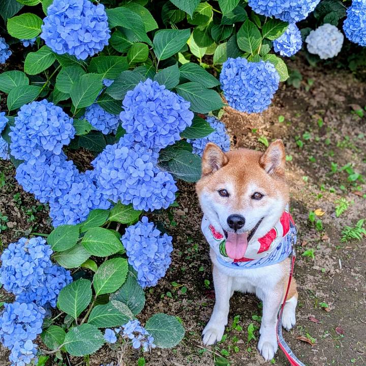 9b034bb5 dd49 44d6 a905 660d06c28335 1750733777282