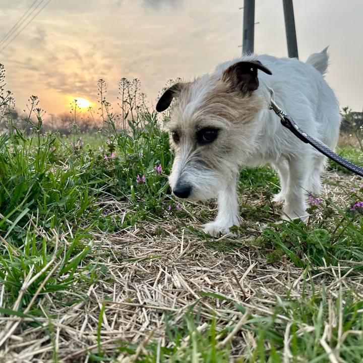 9b034ff0 f4f4 4898 b421 5c2ef31bcf51 1743110088626