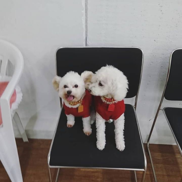 9b039eb6 149b 4aa9 afcc 93a3bd4ea322 1542085729753