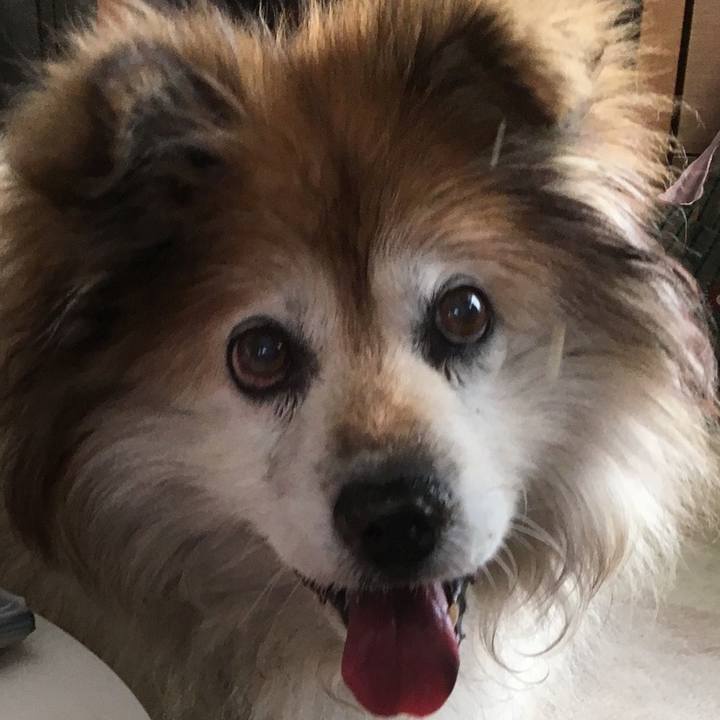 9b03ae58 b6fd 4121 afeb d4724eccdee3 1588699917563