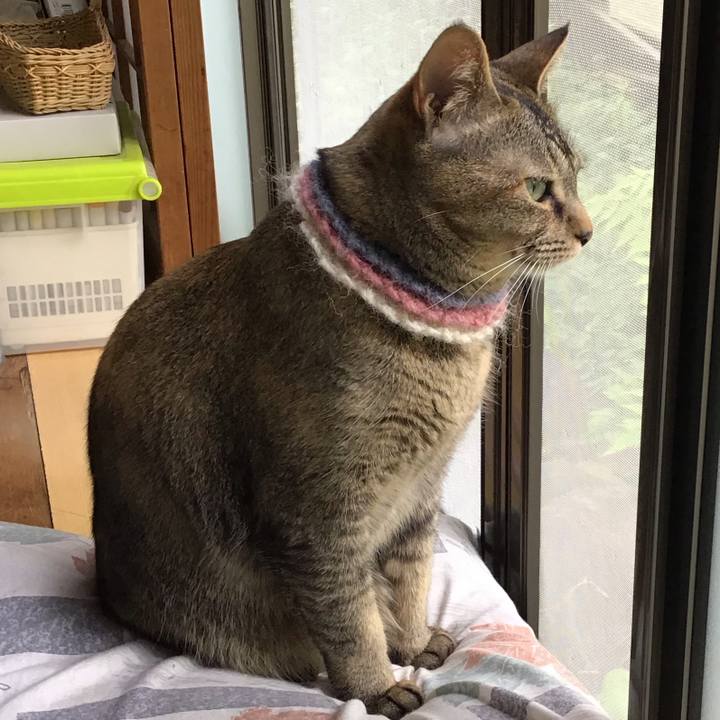 9b03d372 9f90 4267 b7df 2477b6cf5074 1621573858689