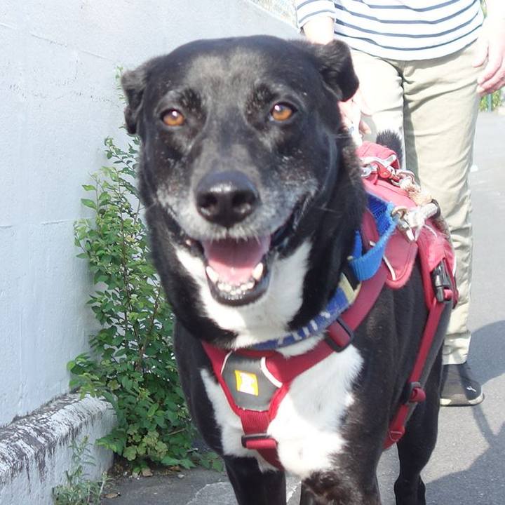 9b04167f e12f 4416 8673 7e3bfd336479 1684753051884