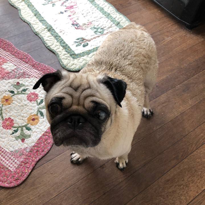 9b047c8e 2f36 43ba 80c1 d49c0d355fc6 1541647061158