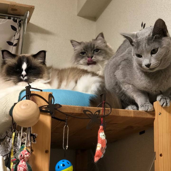 9b047e8c 732e 4931 a0f3 894eaccb7736 1552396044230