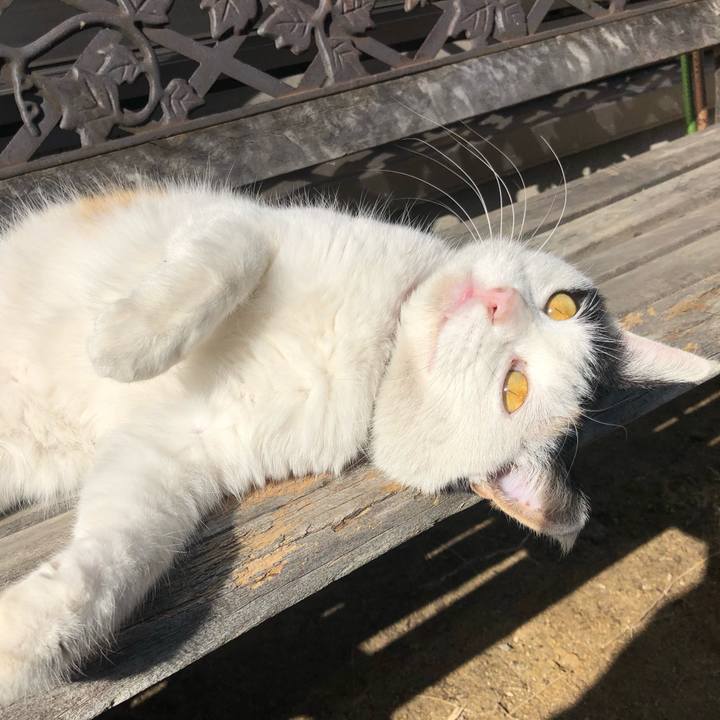 9b04d565 6aca 48a0 8832 8f140331dd7f 1611056687950