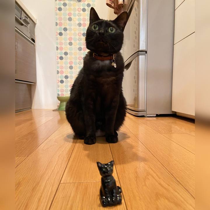 9b04eeee 561f 416e 9a6d 94b038aeea43 1651205184530