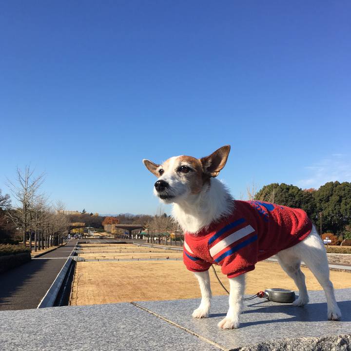 9b04f6ed c5e2 4d76 ba38 3034098d2371 1639269818931