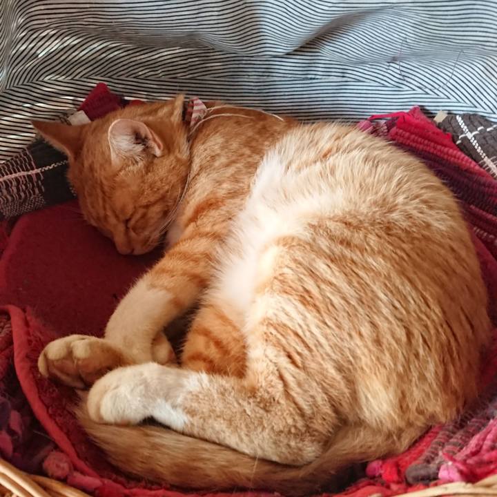 9b056136 b04a 4952 be52 1af2c45ea549 1568519990034