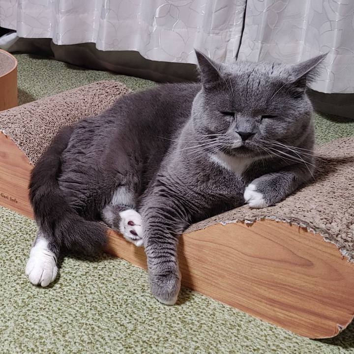 9b057445 32cc 4b75 9649 7da8e2364835 1669990764356