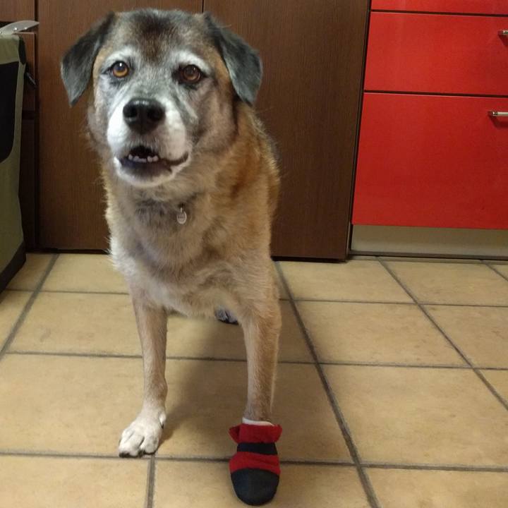 9b05ac72 cce1 4fd9 af51 774e978ee736 1534069977602