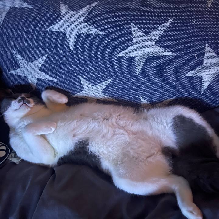 9b05e548 61b8 41b6 b026 f97e2a87e5bc 1623304984135