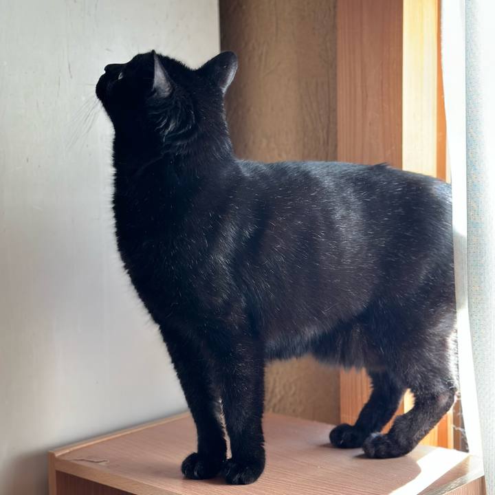 9b05f2e3 239a 4c13 bd22 570b56926637 1682474999064