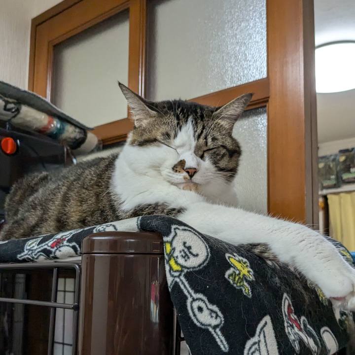 9b060603 cc00 455a a084 1cbc1e33934a 1730288549645