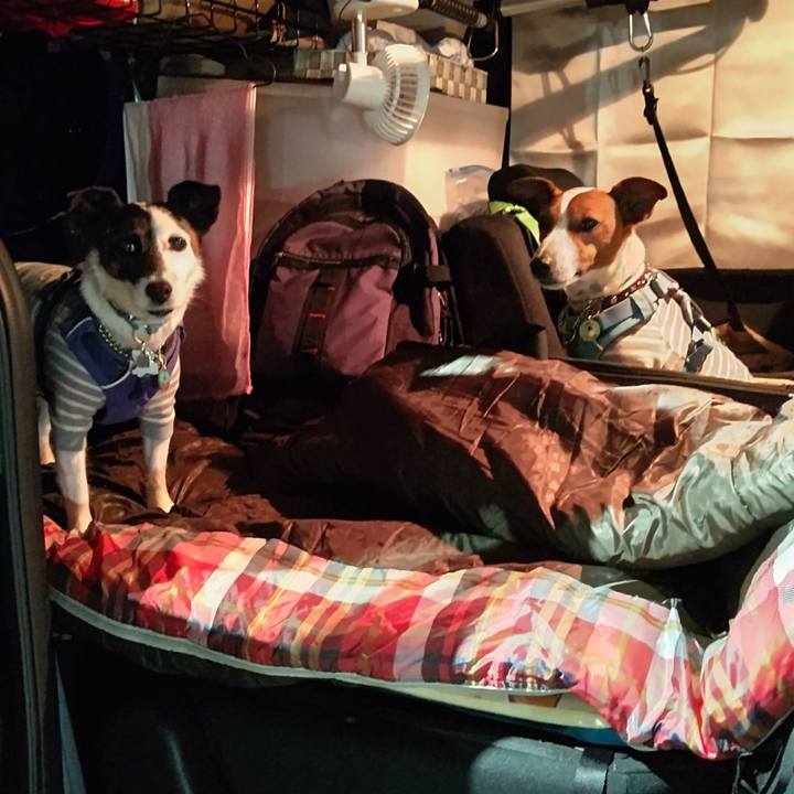 9b063cf8 80dc 4ef3 aa53 03d987138678 1682174513353