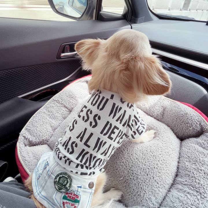 9b06bdb5 7789 4d45 8ae4 3c10b6ec24a2 1754883953338