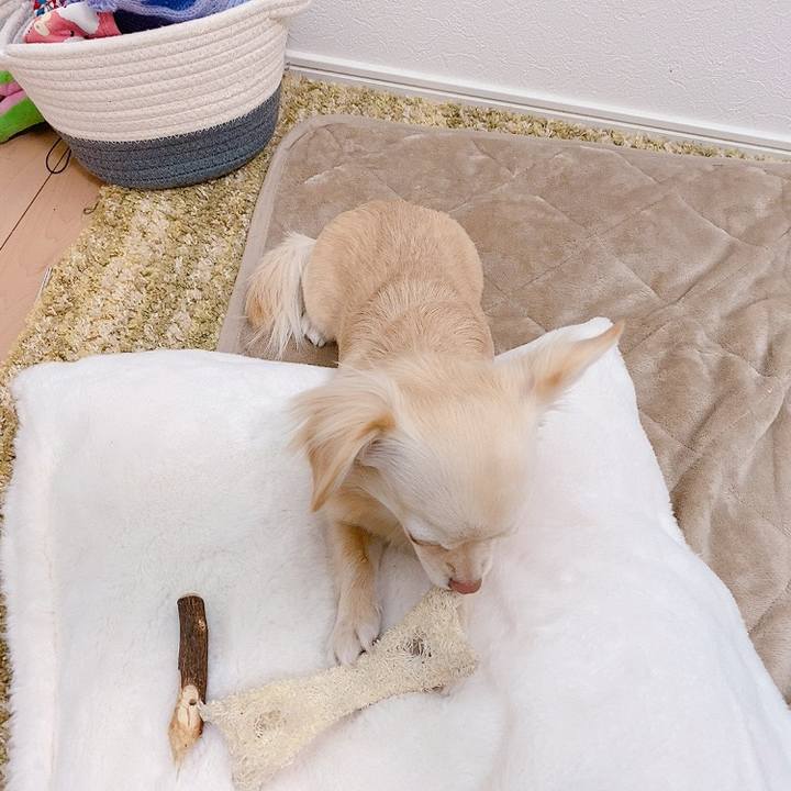 9b06c13d 89be 4b63 ae4c 150e9b768e26 1615803336819