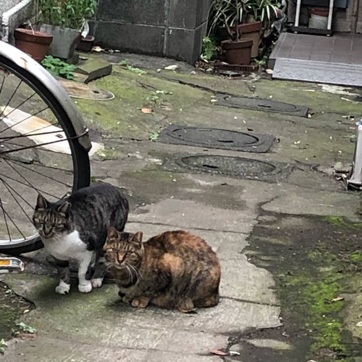 9b06dc11 8041 4550 83a9 50ae856fcd5c 1541706768718