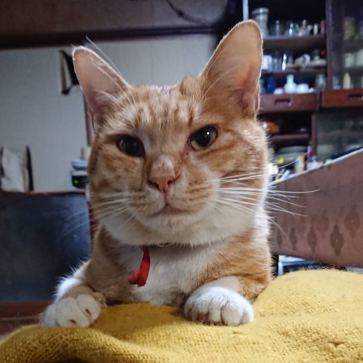 9b071cb0 8831 4c0b a892 b04acb3d0316 1572997967237