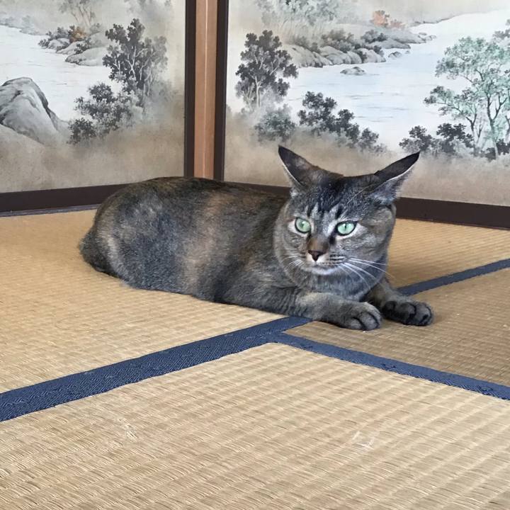 9b0728a1 d67a 4d8e 9f66 866e50f9f65b 1628145878100