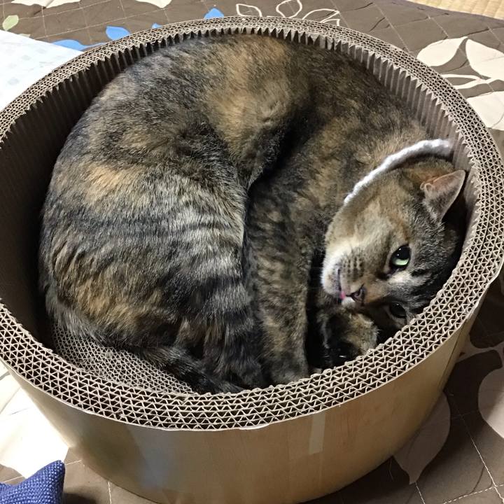 9b073ba3 1f3b 4e81 8e00 0481f1cf7e89 1741864870492