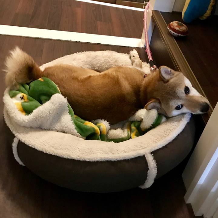 9b074ebf f796 425c ba4f 9d46ab79da7f 1516784208912