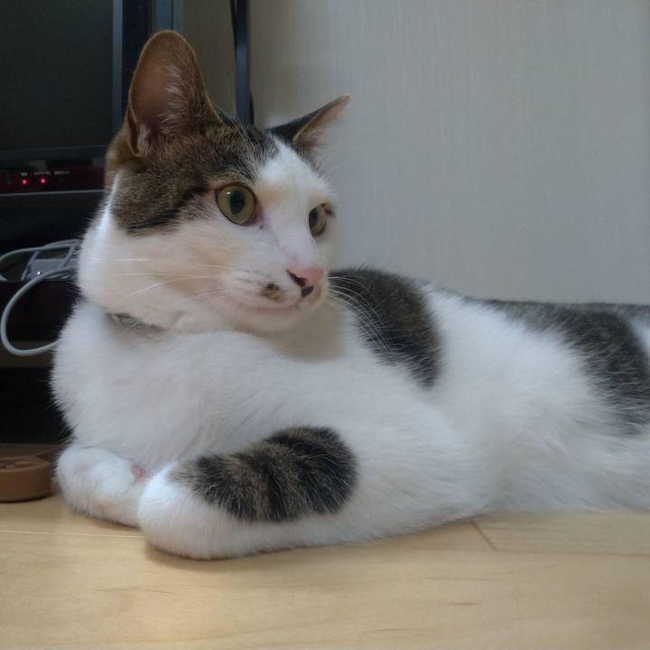 9b076d79 7278 4f9e 81c9 500fc6c87888 1559955238669