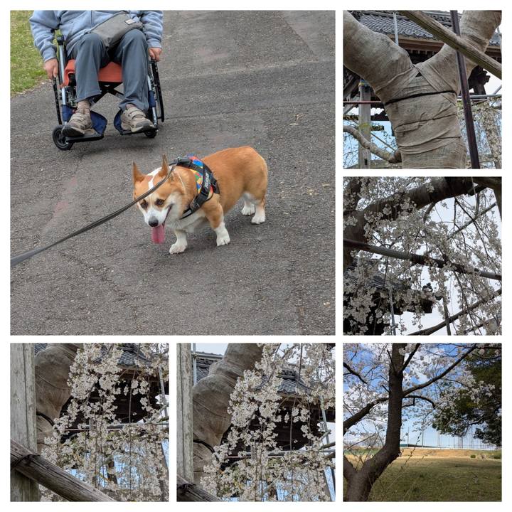 9b07d5d6 c267 4fd3 9195 9080351dd112 1744341962169