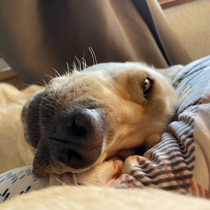 9b08081c 543b 439f ae84 01ef47762d58 1666309026537