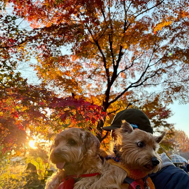 9b081540 05e2 43f6 ad84 0cdc80082821 1763197786776