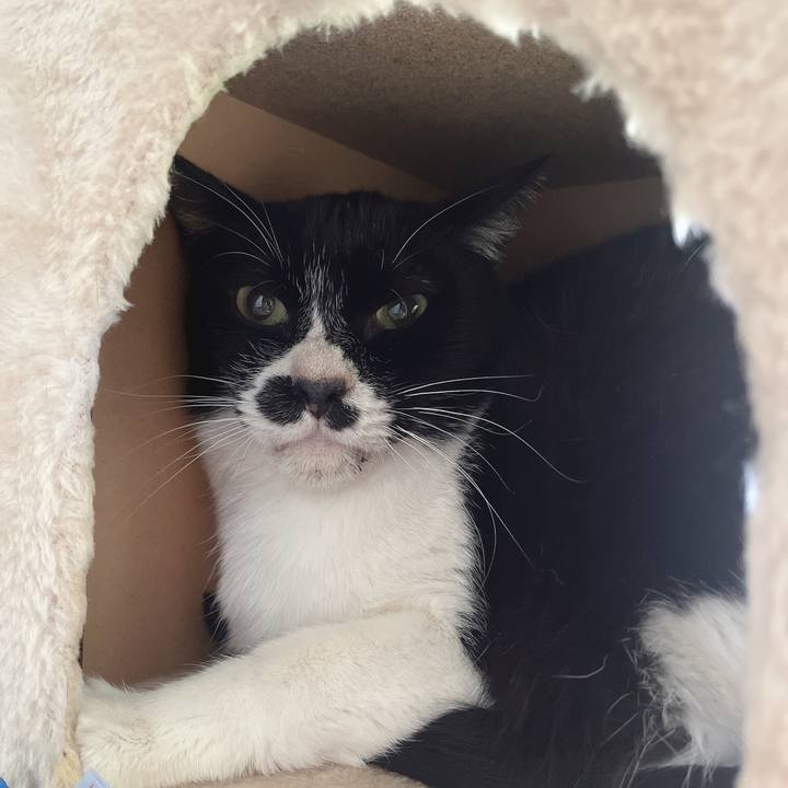 9b081e4f 7cfa 4ae8 a2c4 54516f6a618b 1651625481941