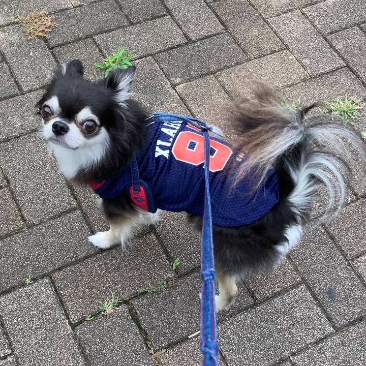 9b083f68 e941 4f60 af99 68e2f37c3f10 1719762016034