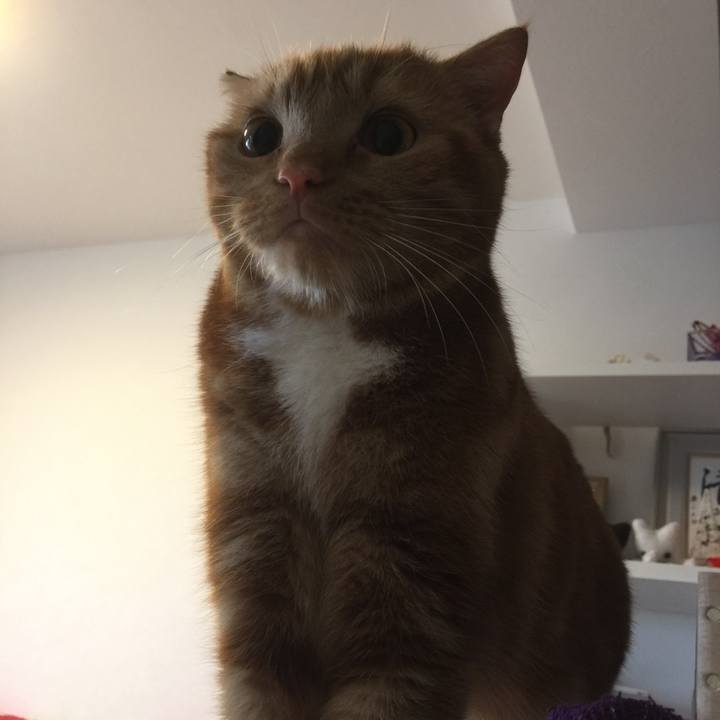 9b086456 a8e8 4633 ad8a be7fcb89030b 1537488237390