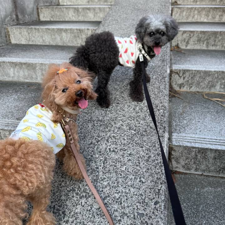 9b086636 2295 4a2a 8c7f 6efa957687af 1754262806753