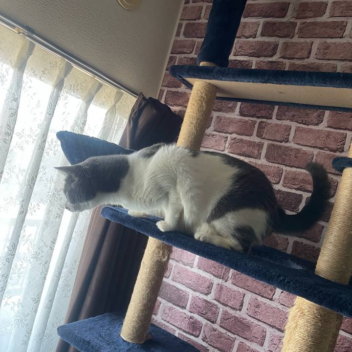 9b08a0e3 e1f9 49a7 883d 28a23296c25d 1715669873646