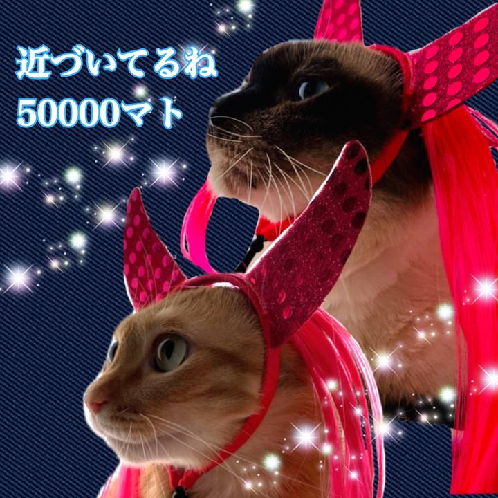 9b08ade3 560f 4686 a85d fc34826d2e2b 1566394356432