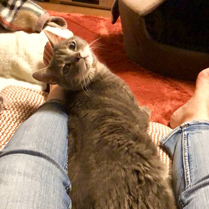 9b08bcaa 0a7b 4fde 9c7e b140423f9d48 1563184965224